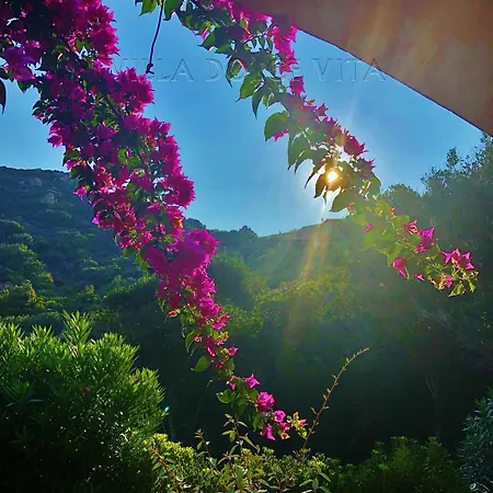 Prázdninový dům Dolce Costa Paradiso
